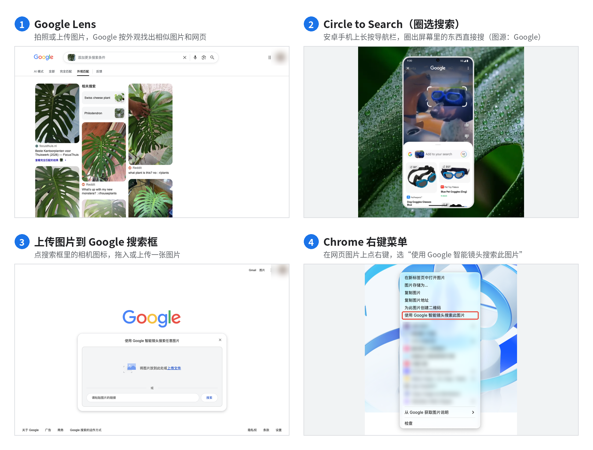 GSC Now Has "Web: Multimodal": No Queries, No API Access