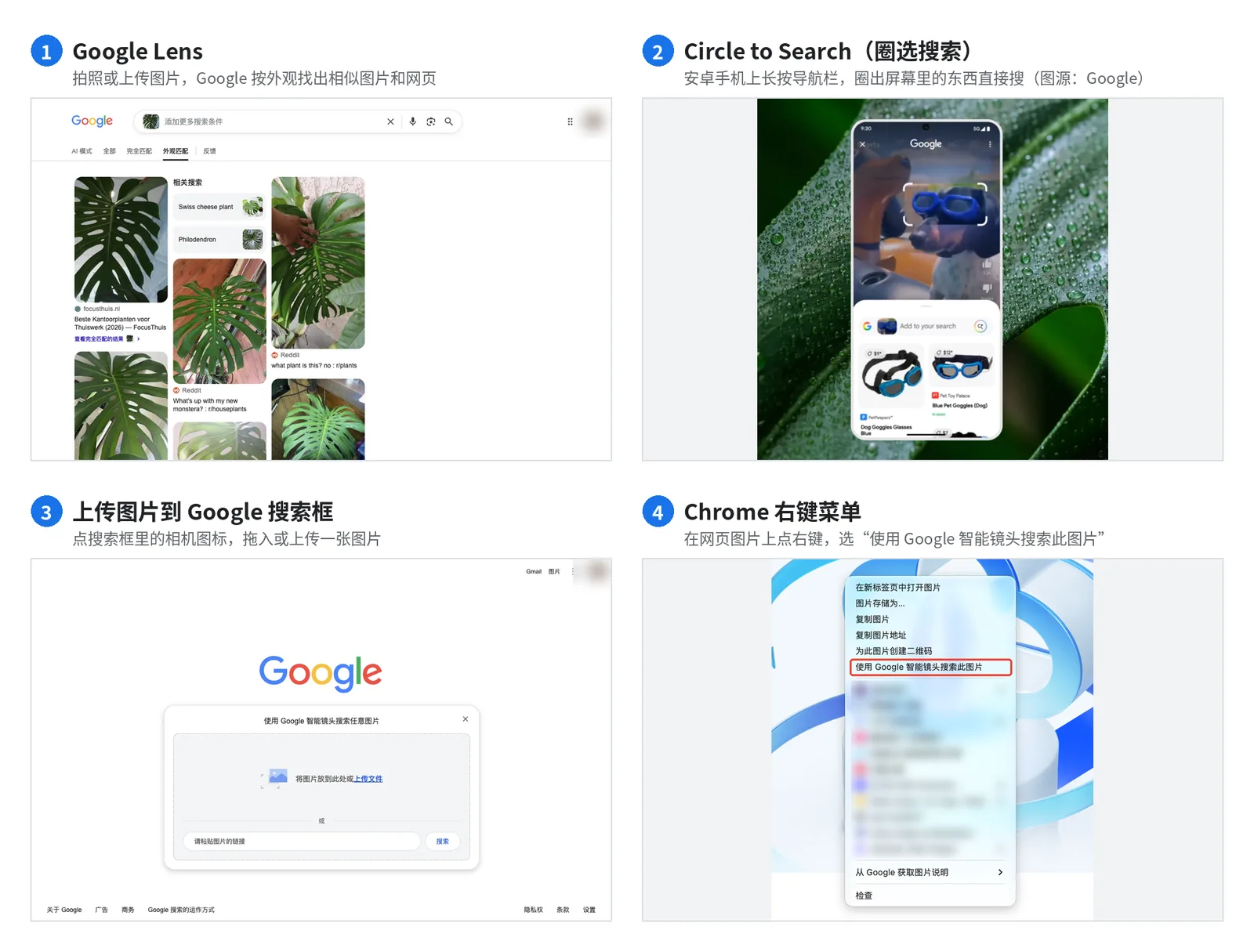 GSC 多了“网页(多模态)”:没有查询词,API 也拿不到